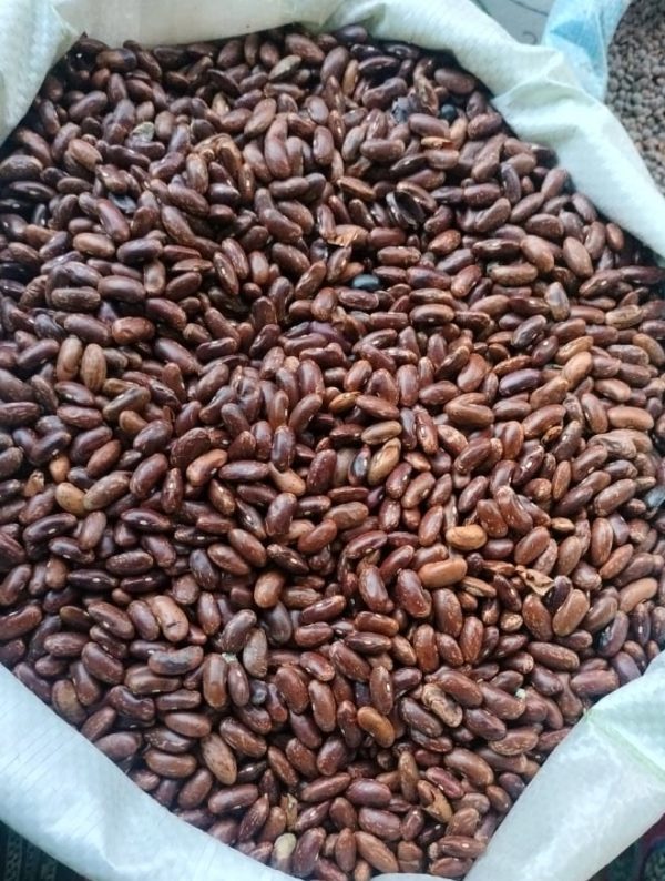 Laal Rajma (Kidney Bean) 500 gm - Image 2
