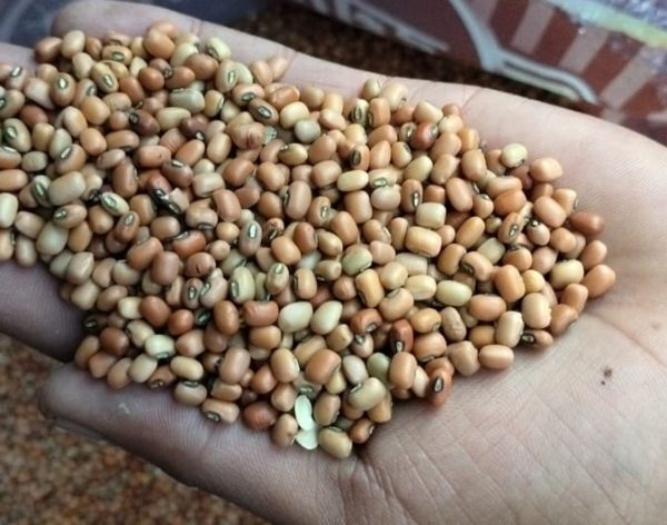 Pahari Reyansh Dal 500 gm